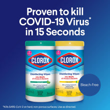 Load image into Gallery viewer, Clorox® Disinfecting Virucidal Wipes – 35-ct

