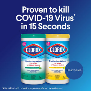 Clorox® Disinfecting Virucidal Wipes – 35-ct